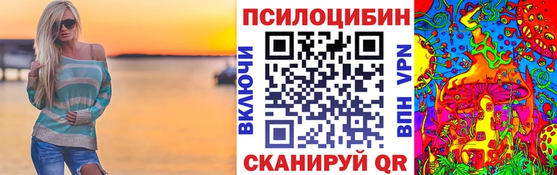 Купить где  Смоленск  Галлюциногенные грибы Psilocybe 